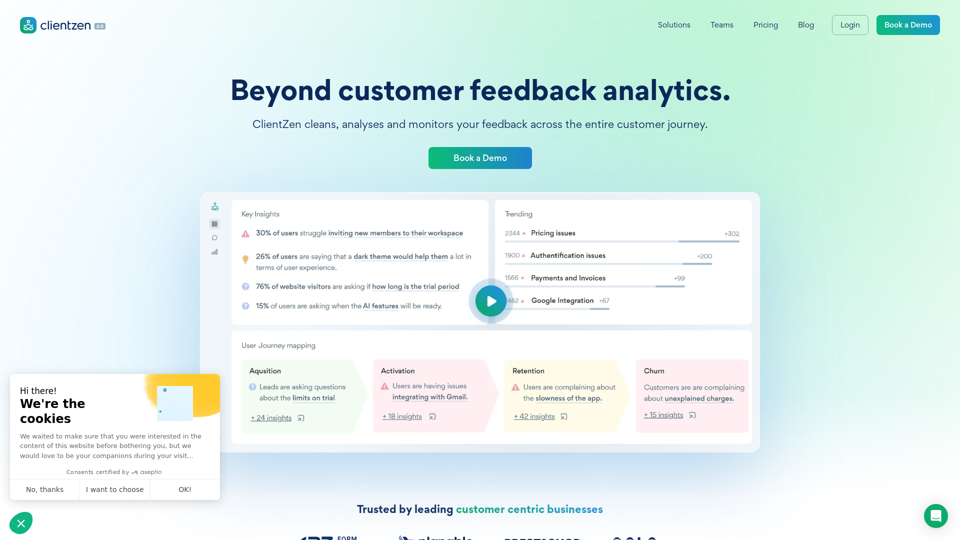 ClientZen | Beyond customer feedback analytics