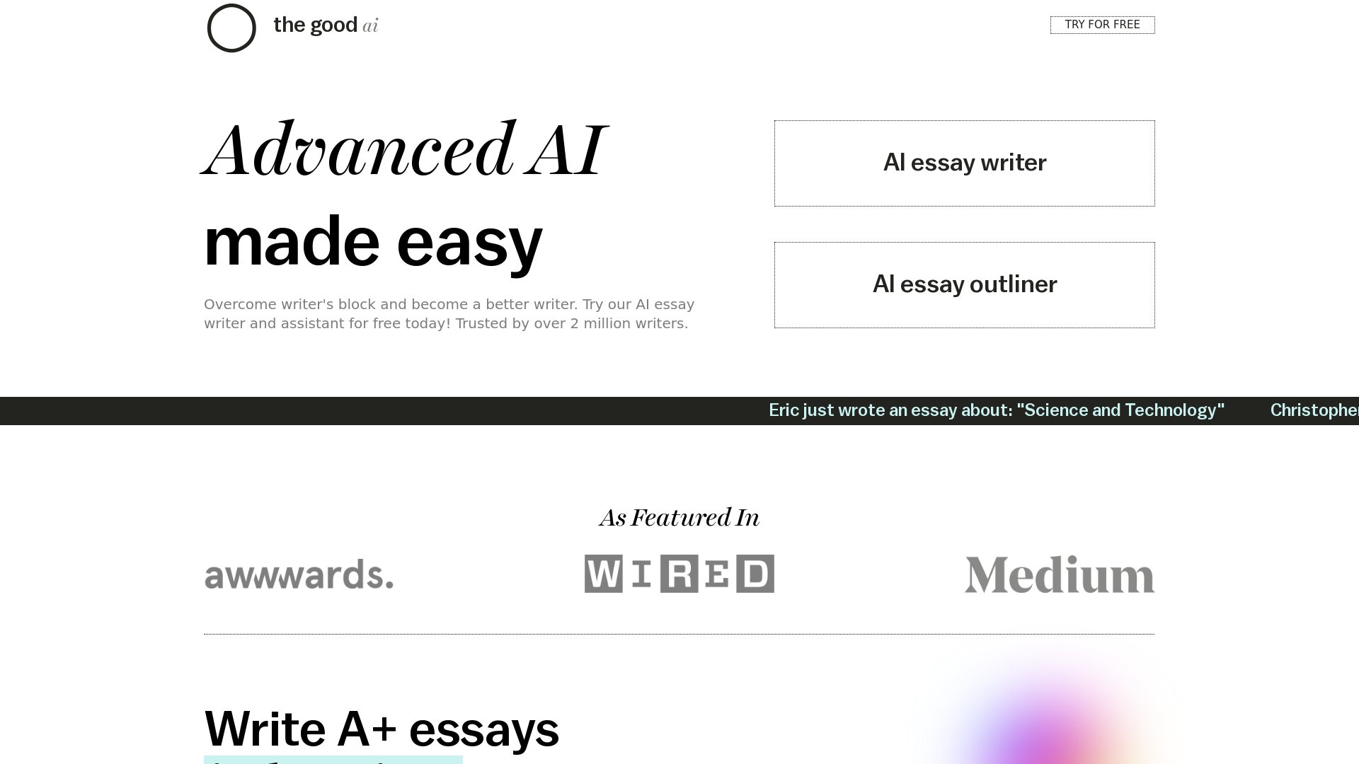 AI Essay Writer screenshot