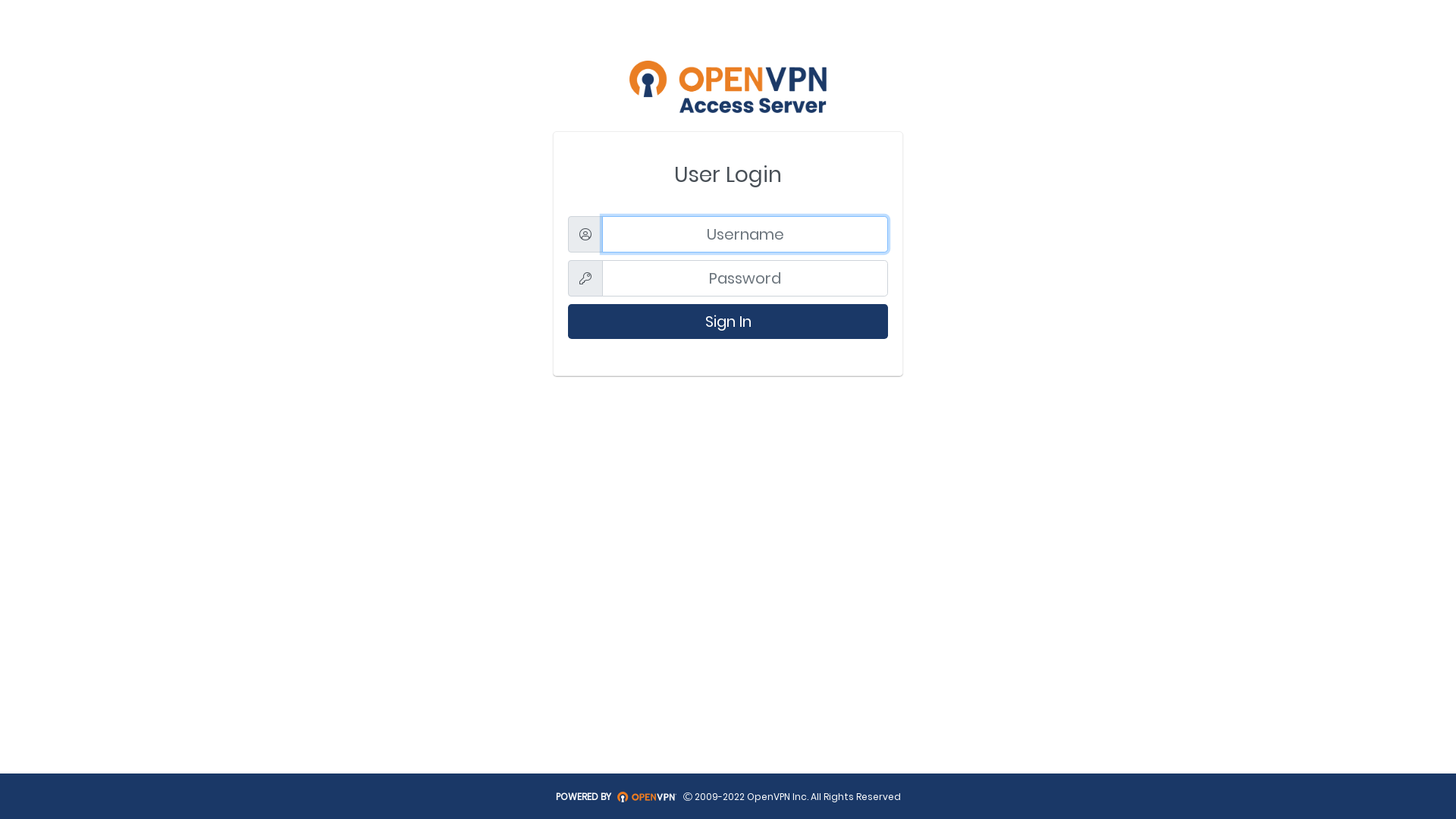 OpenVPN CWS