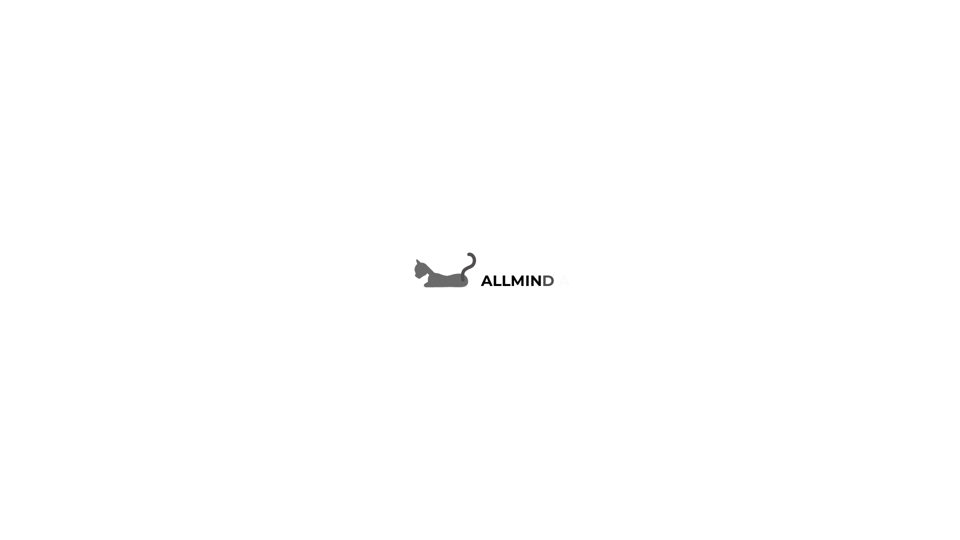 AllMind AI screenshot