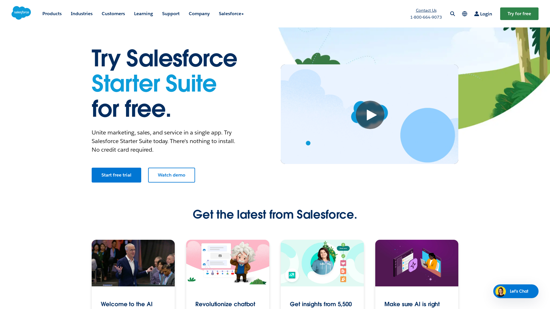 Salesforce: The Customer Company