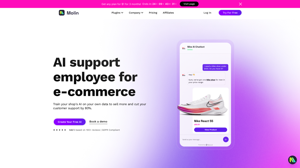 Molin AI — Cut your customer support by 80% with AI