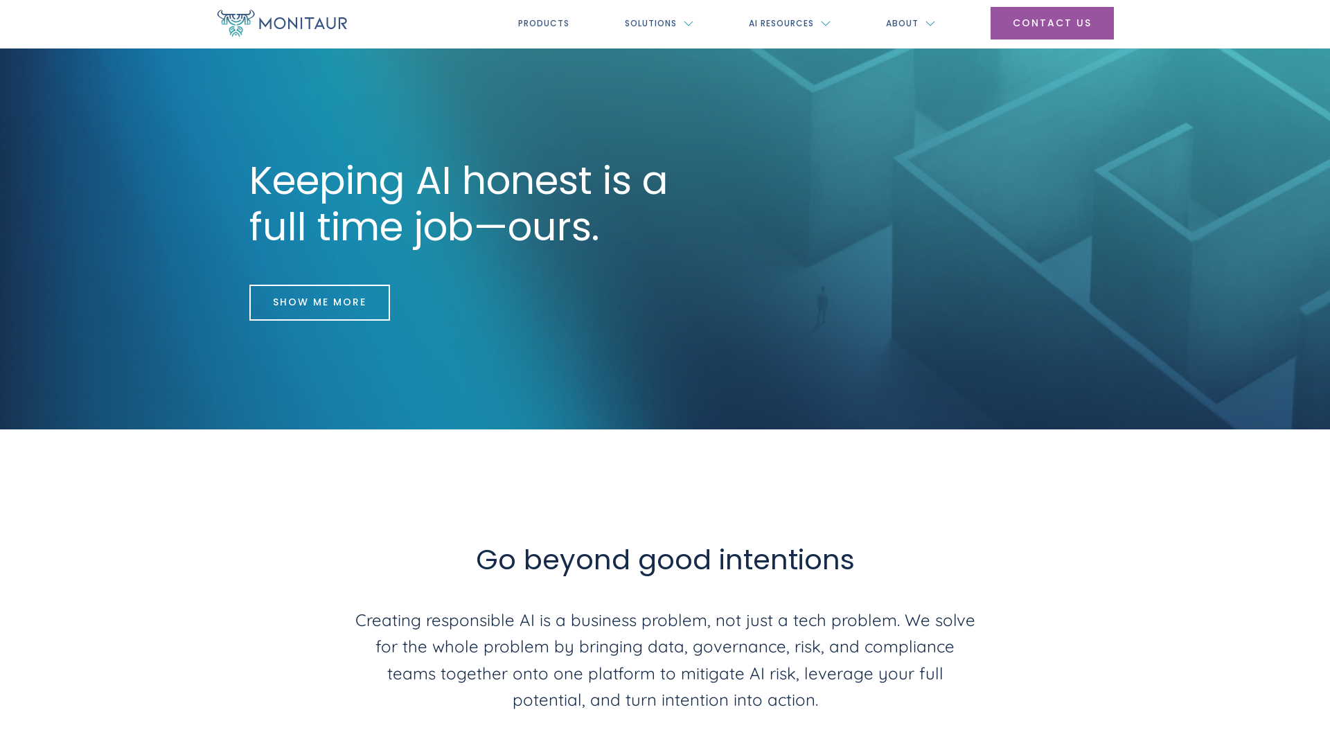 AI Governance software that goes beyond good intentions screenshot