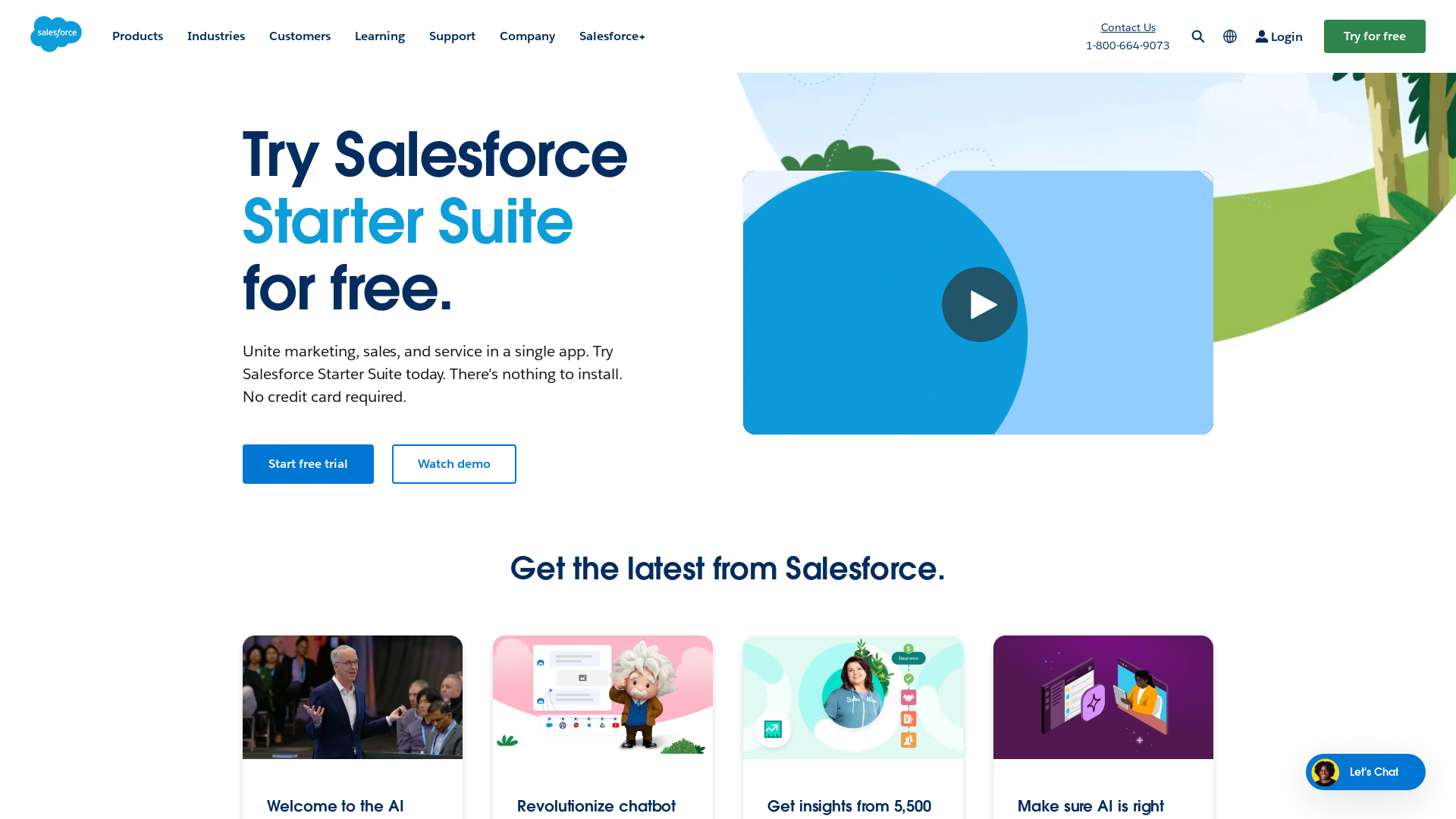 Salesforce: The Customer Company