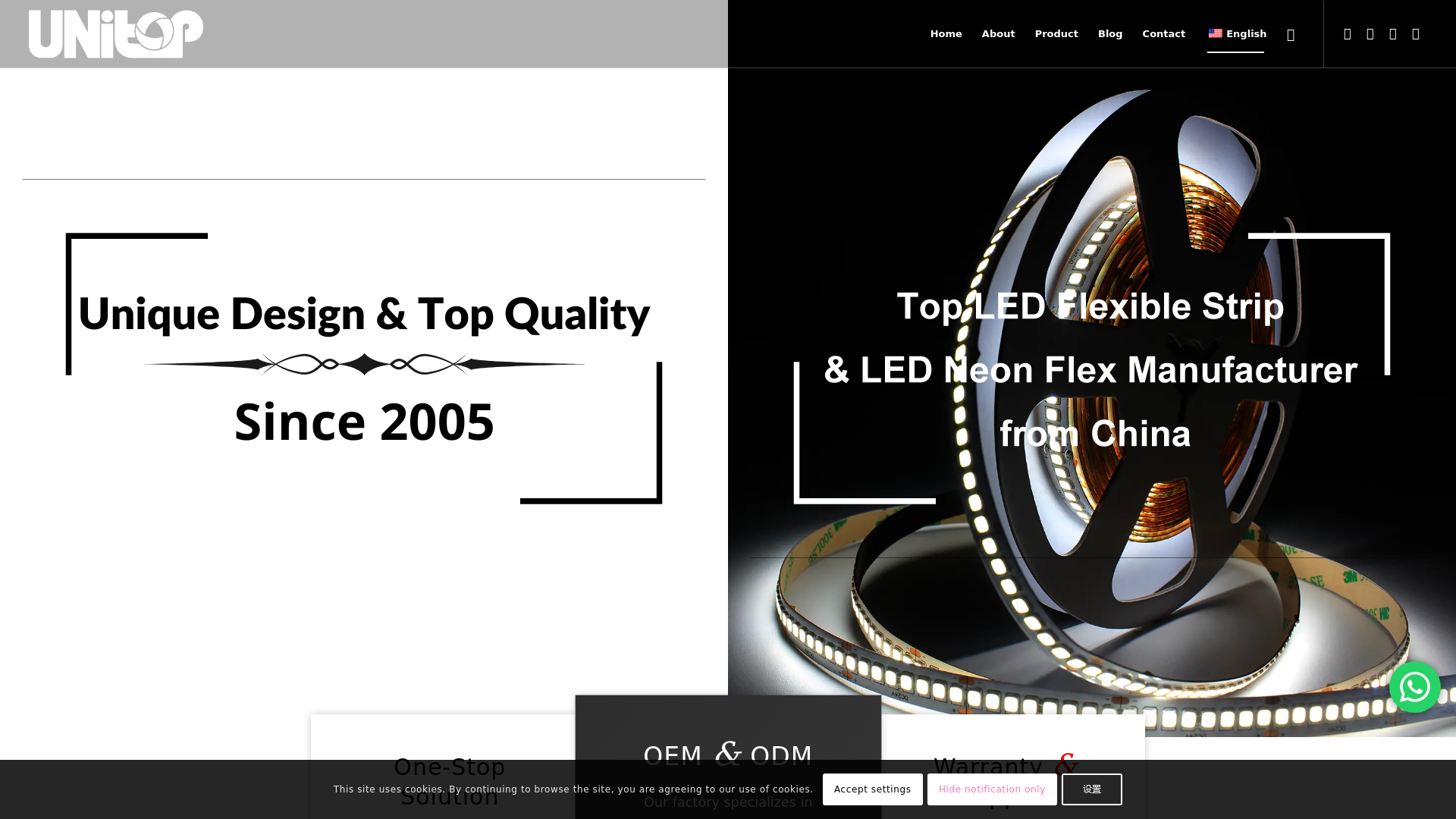 LED Flexible Strip & LED Neon Flex