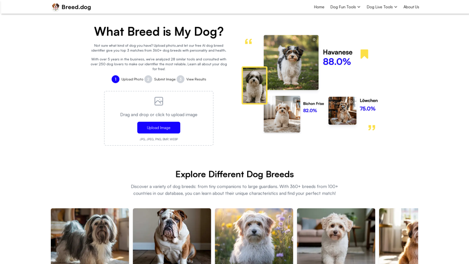 What Breed is My Dog? - Free AI Dog Breed Identifier