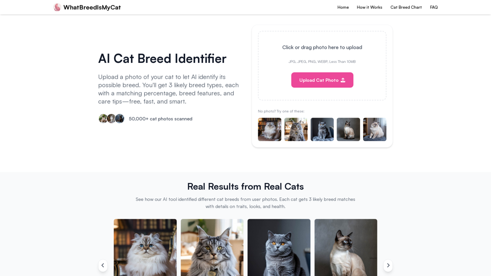 What Breed Is My Cat? | Free AI Cat Breed Identifier by Photo