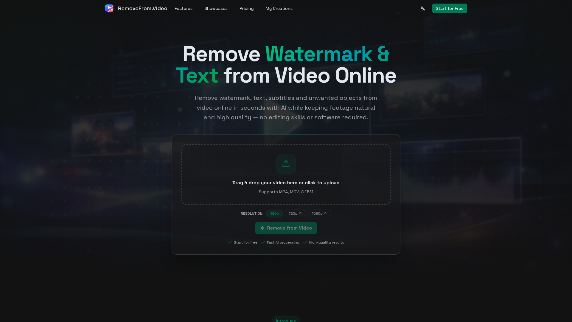 Remove Watermark & Text from Video Online Free screenshot