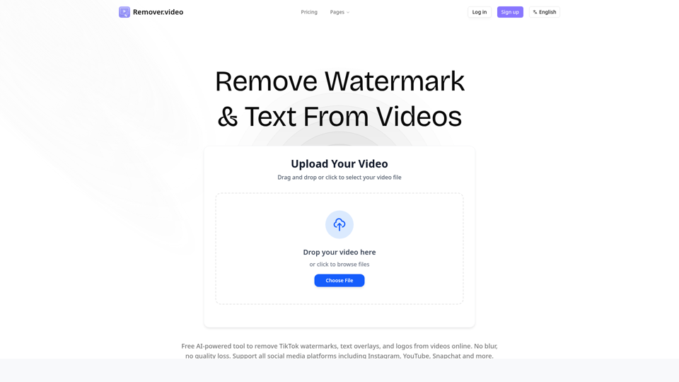 Remover.video screenshot