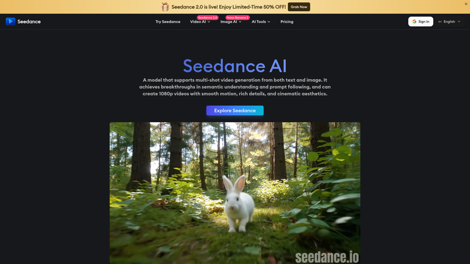 Seedance screenshot