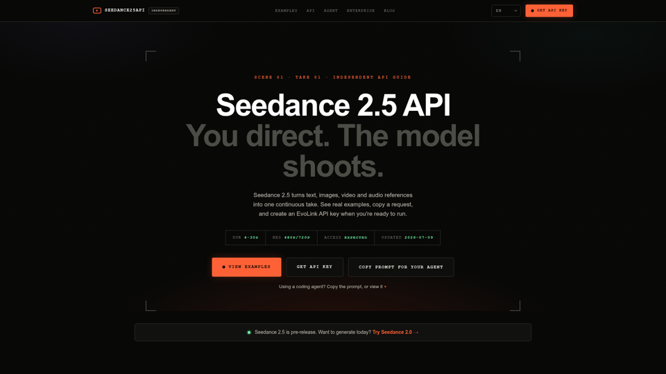 Seedance 2.5 API screenshot