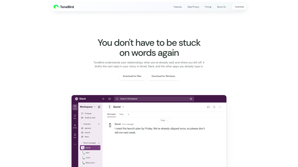 Your Socially Fluent AI Reply Assistant screenshot